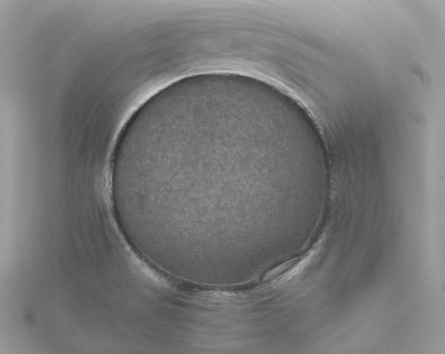 X0000115391517200911171445