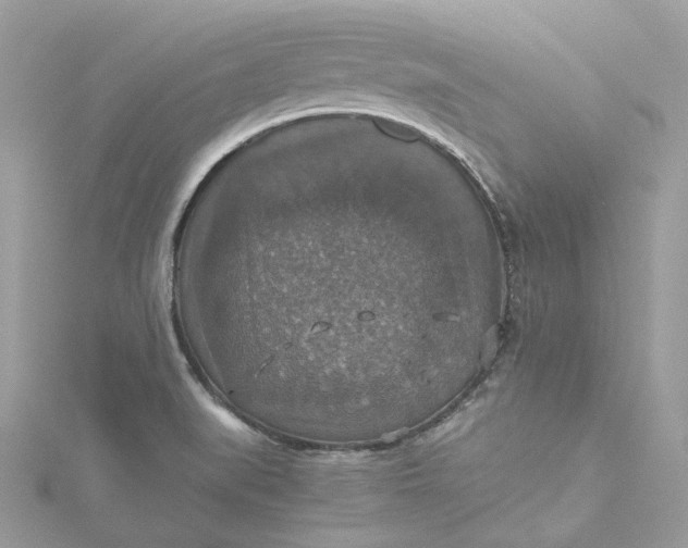 X0000115391519200911171445