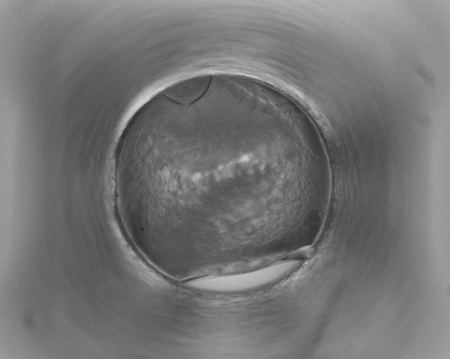 X0000115391522200911171446