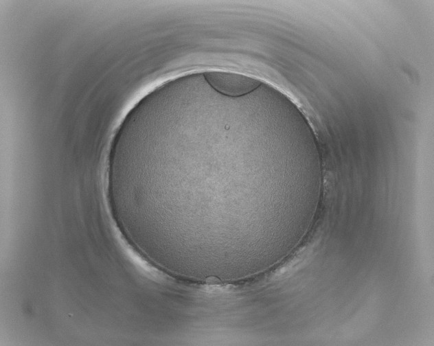 X0000115391523200911171446