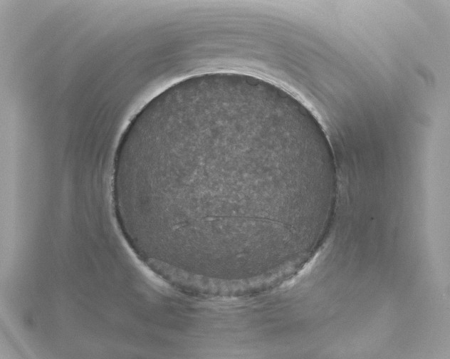 X0000115391525200911171446