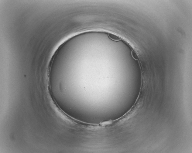 X0000115391526200911171446