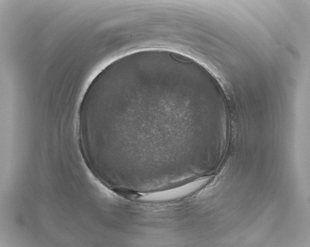 X0000115391527200911171446