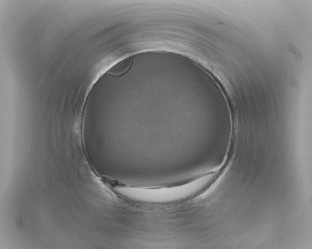 X0000115391529200911171446