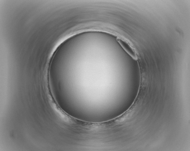 X0000115391530200911171446