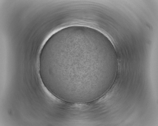 X0000115391531200911171446