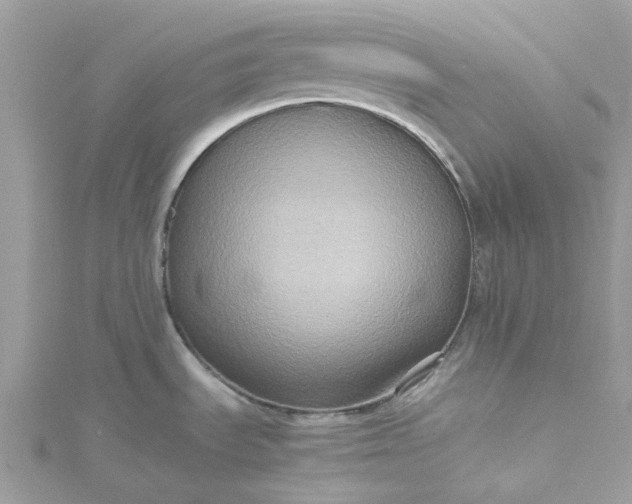 X0000115391535200911171446