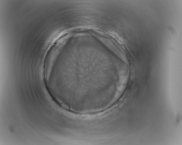 X0000115390002200911241255