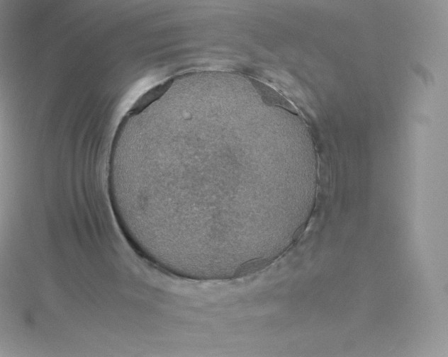 X0000115390003200911241255