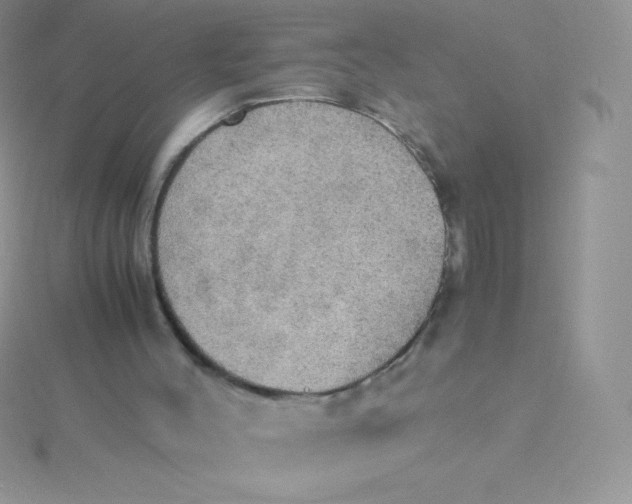 X0000115390004200911241255