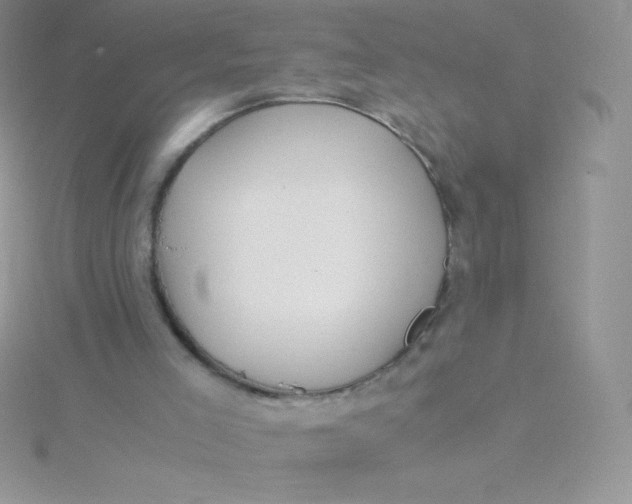 X0000115390005200911241255