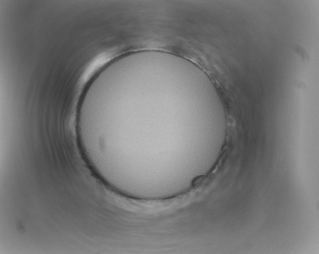 X0000115390006200911241255