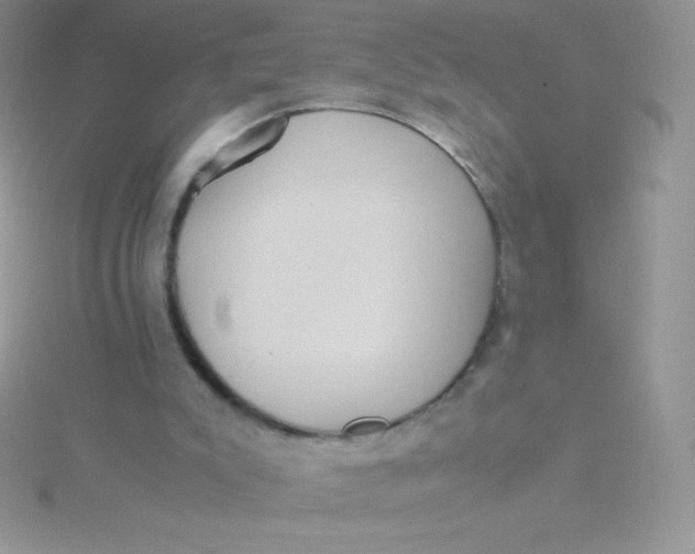 X0000115390007200911241255