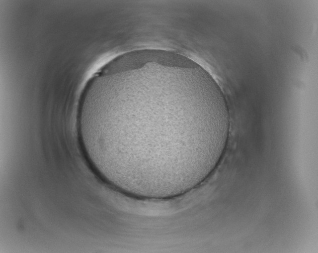 X0000115390008200911241255