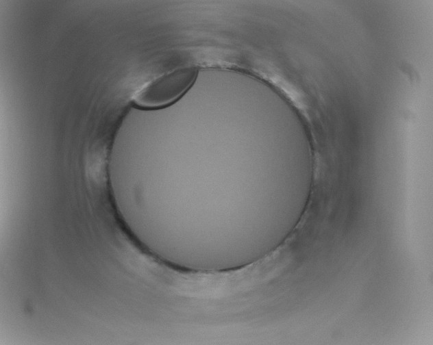 X0000115390009200911241255