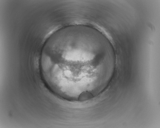 X0000115390010200911241255