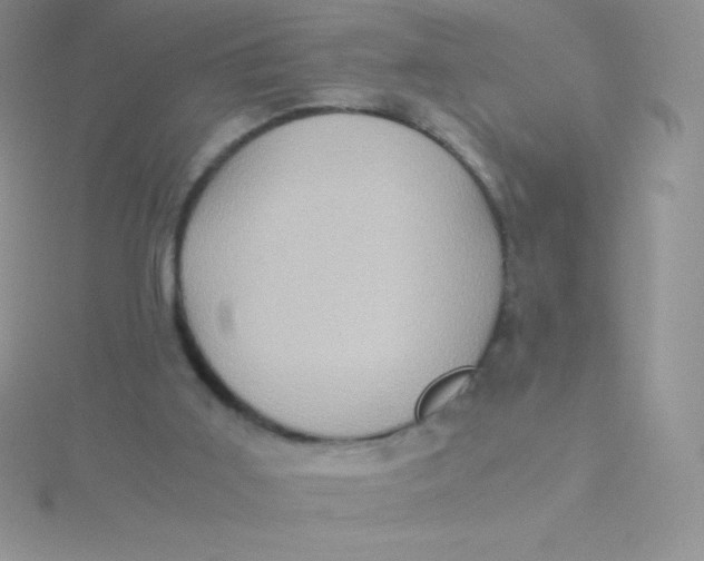 X0000115390011200911241255