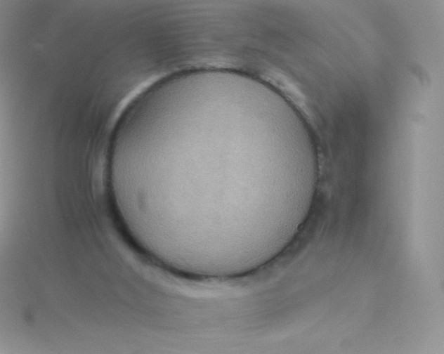 X0000115390012200911241255