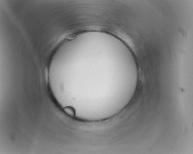 X0000115390013200911241255