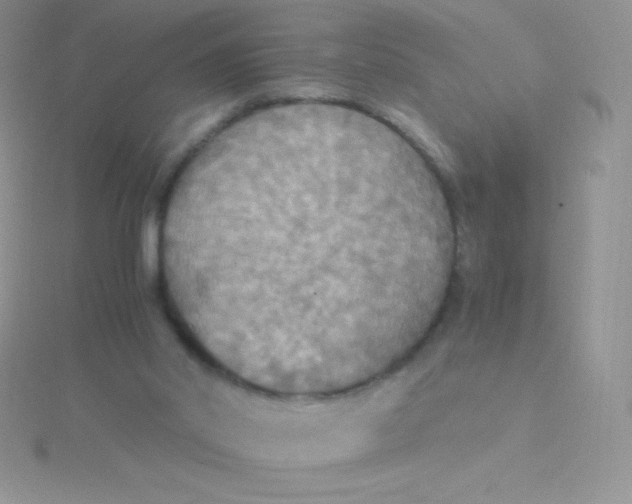 X0000115390014200911241255