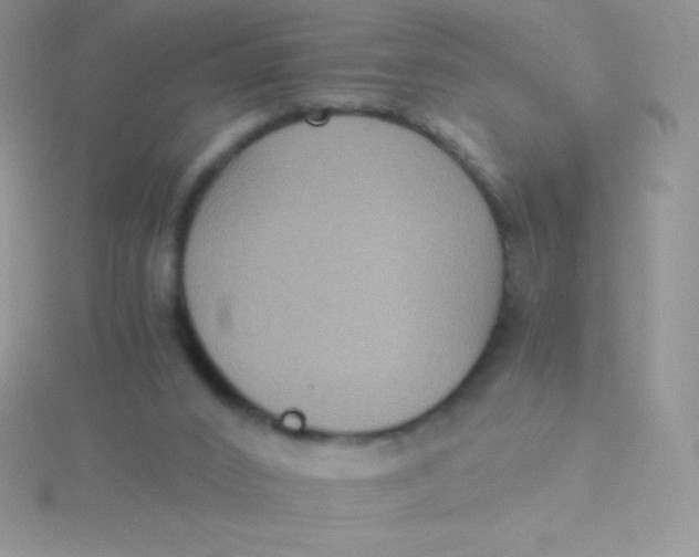 X0000115390016200911241255