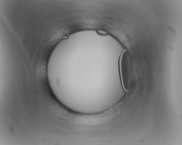 X0000115390017200911241255