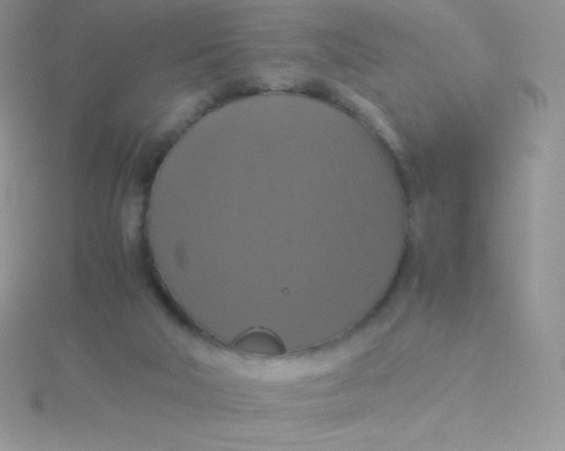 X0000115390018200911241255