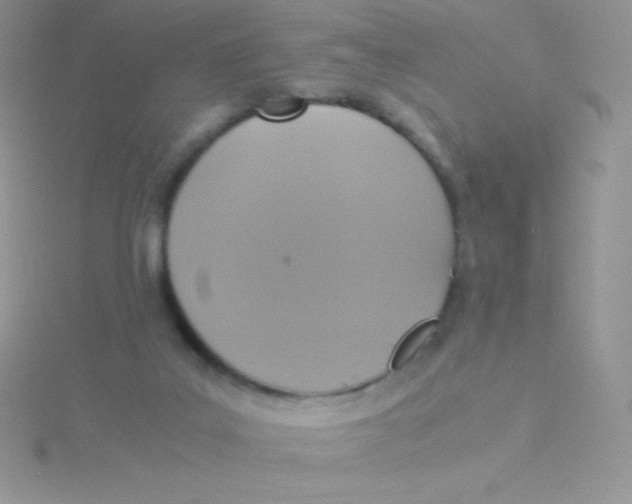 X0000115390019200911241255