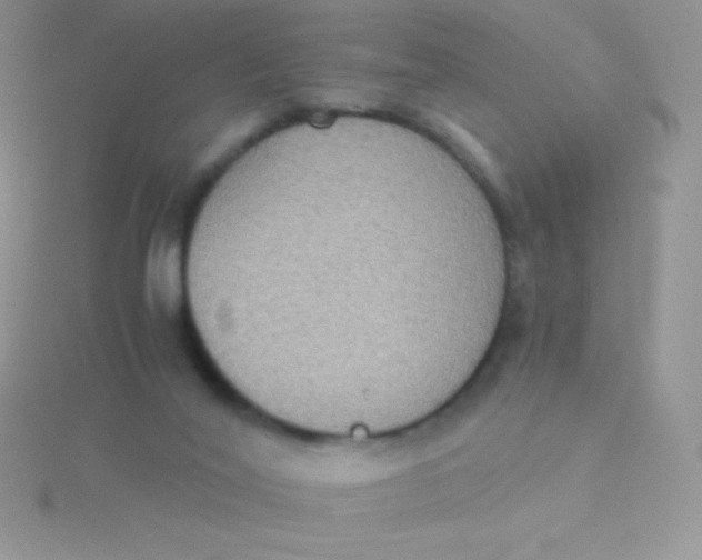 X0000115390020200911241255