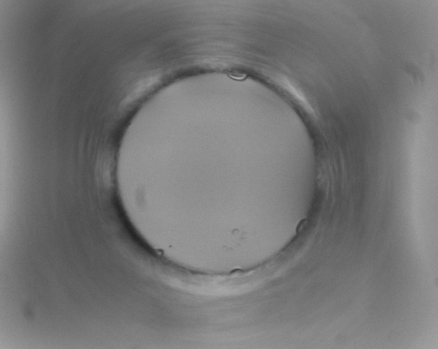 X0000115390023200911241255