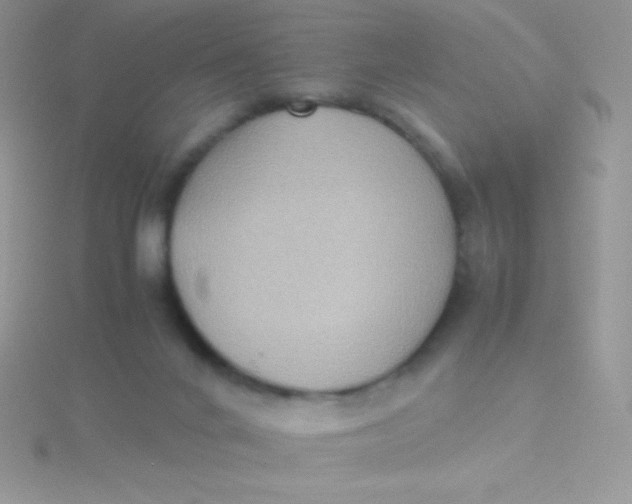 X0000115390024200911241255