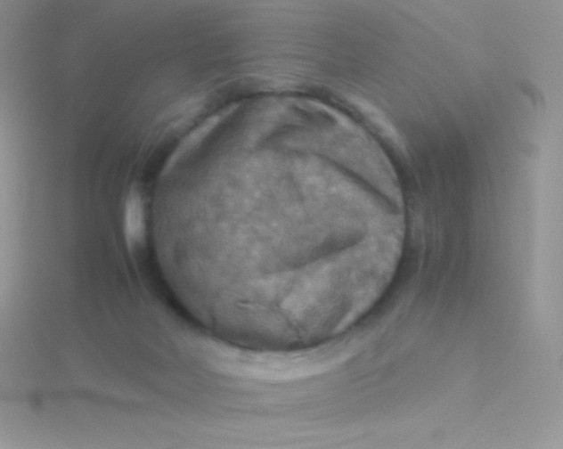 X0000115390026200911241255