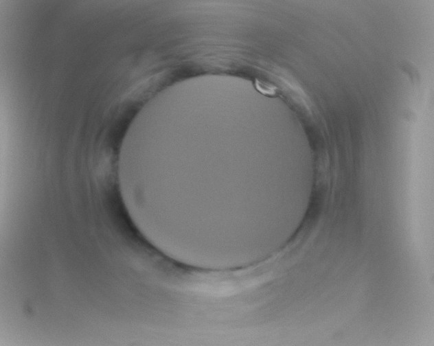 X0000115390029200911241255