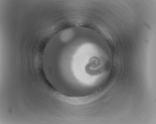 X0000115390030200911241255