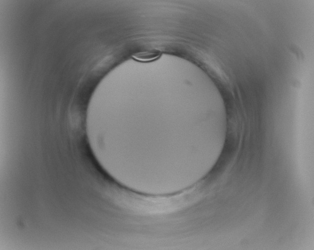 X0000115390031200911241255