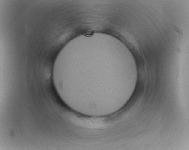 X0000115390032200911241255