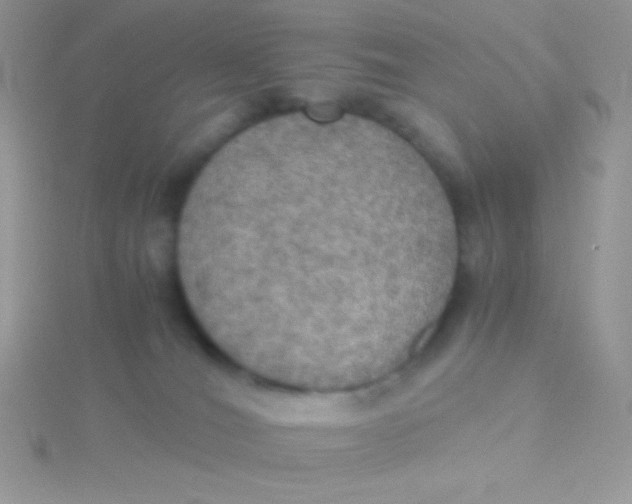 X0000115390036200911241255