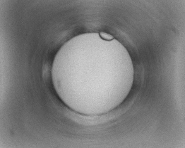 X0000115390038200911241255