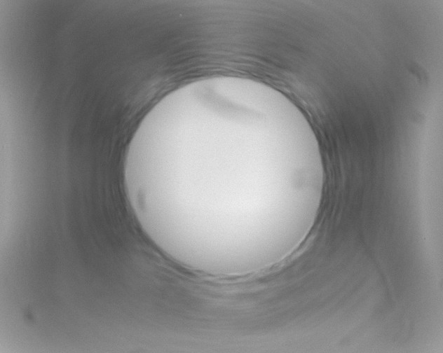 X0000115390041200911241255