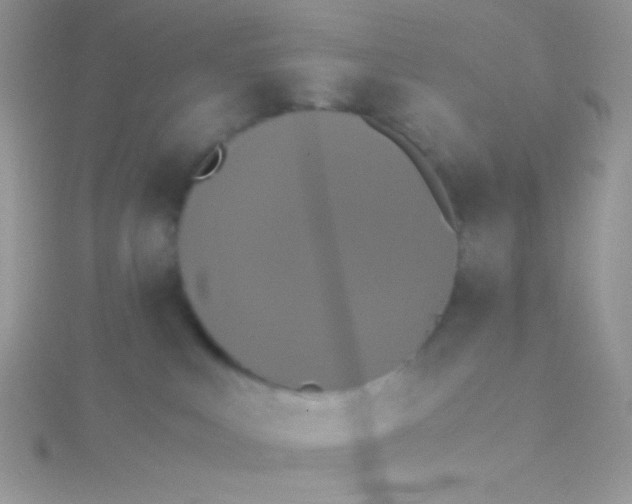 X0000115390043200911241255