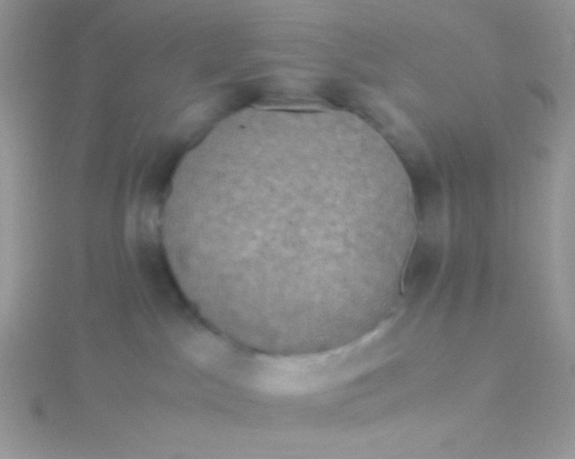 X0000115390045200911241255