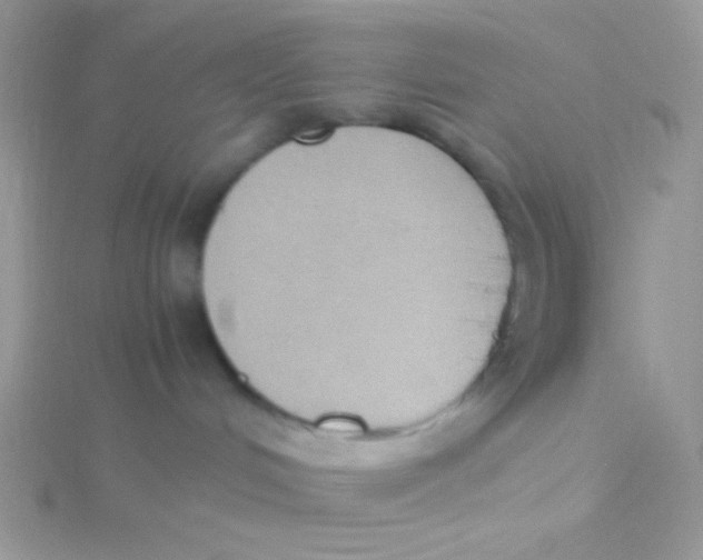 X0000115390048200911241255