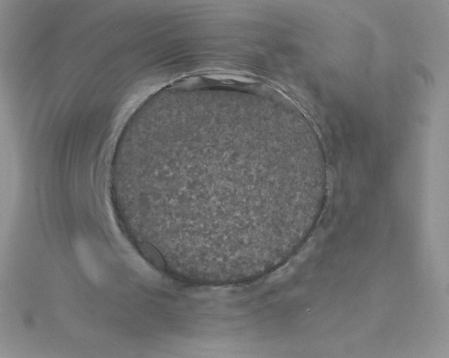 X0000115390049200911241254