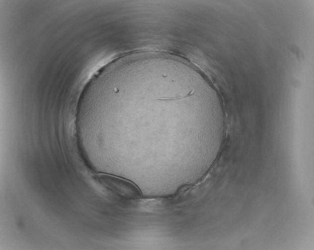 X0000115390050200911241254