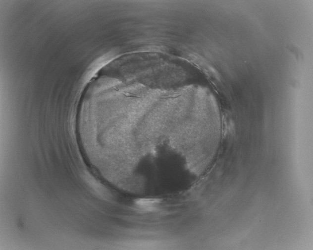 X0000115390051200911241254