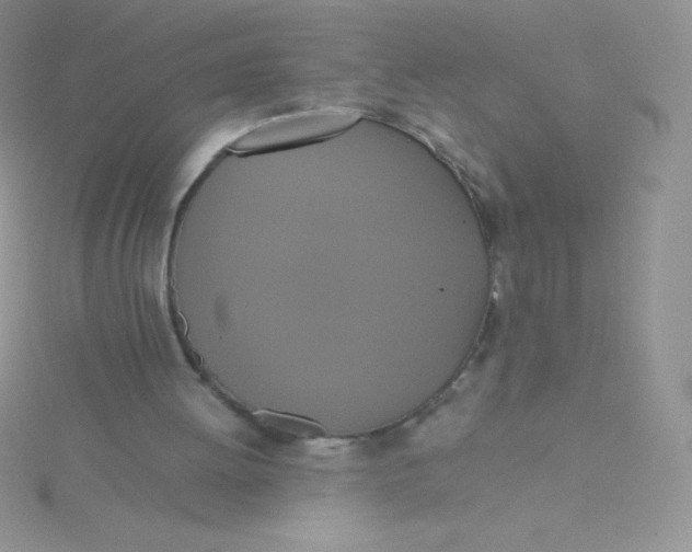 X0000115390052200911241254