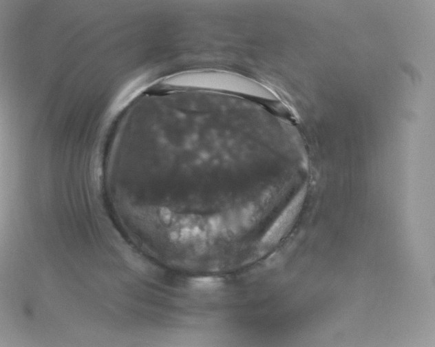 X0000115390053200911241254