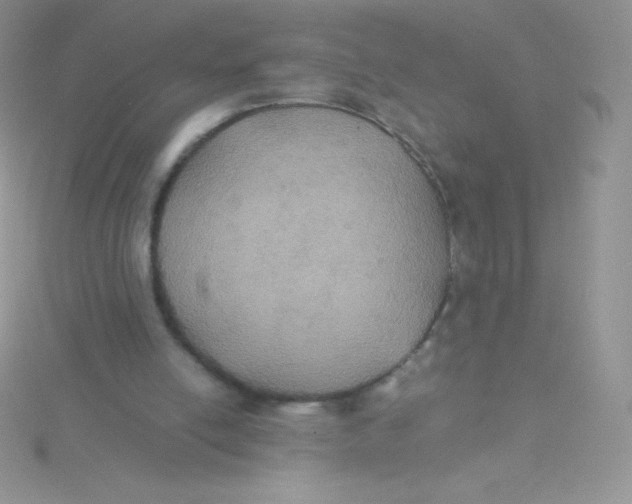 X0000115390054200911241254