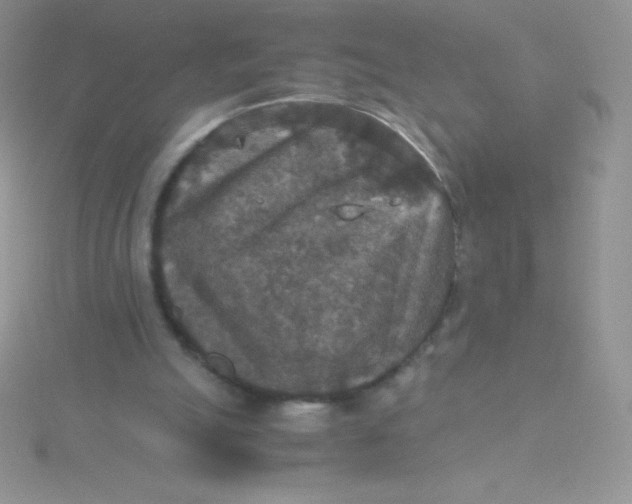 X0000115390055200911241254