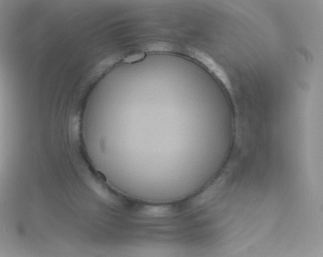 X0000115390057200911241254